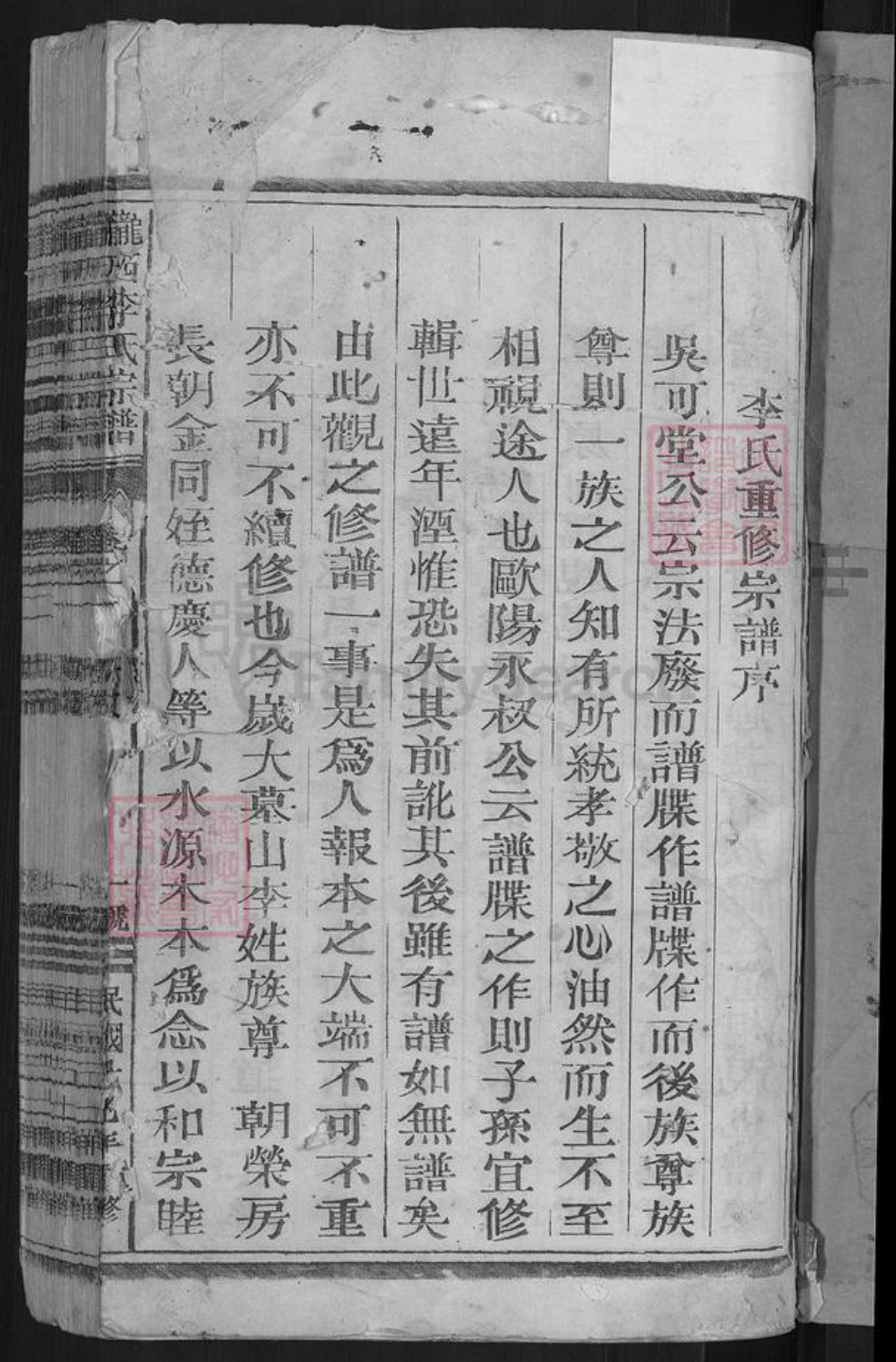 福建省龙岩市上杭县稔田镇李氏族谱-陇西李氏宗谱.pdf电子版插图3