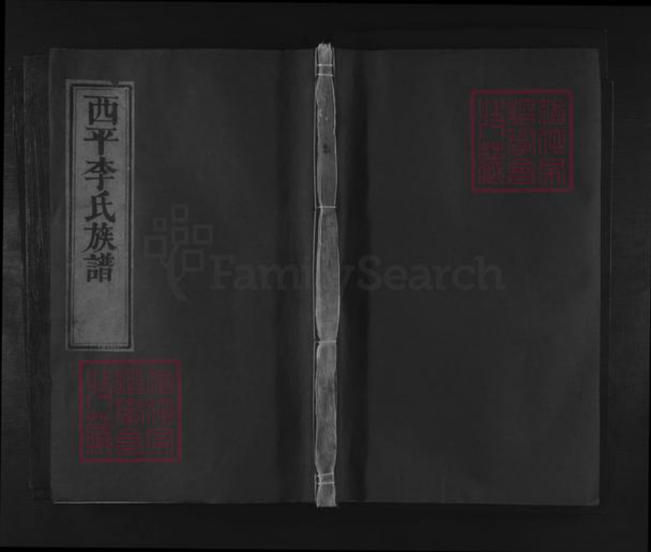 江西省宜春市李氏族谱-西平李氏族谱 [不分卷].pdf电子版