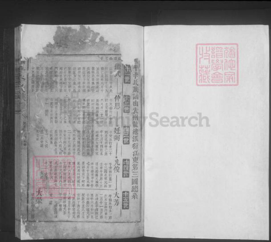 江西省宜春市李氏族谱-西平李氏族谱 [不分卷].pdf电子版插图1