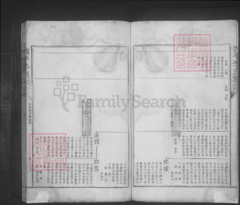 江西省宜春市李氏族谱-西平李氏族谱 [不分卷].pdf电子版插图5