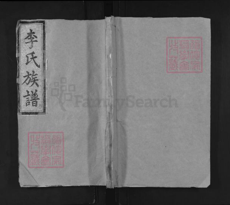 湖南省常德市汉寿县李氏陇西堂族谱-李氏族谱.pdf电子版插图