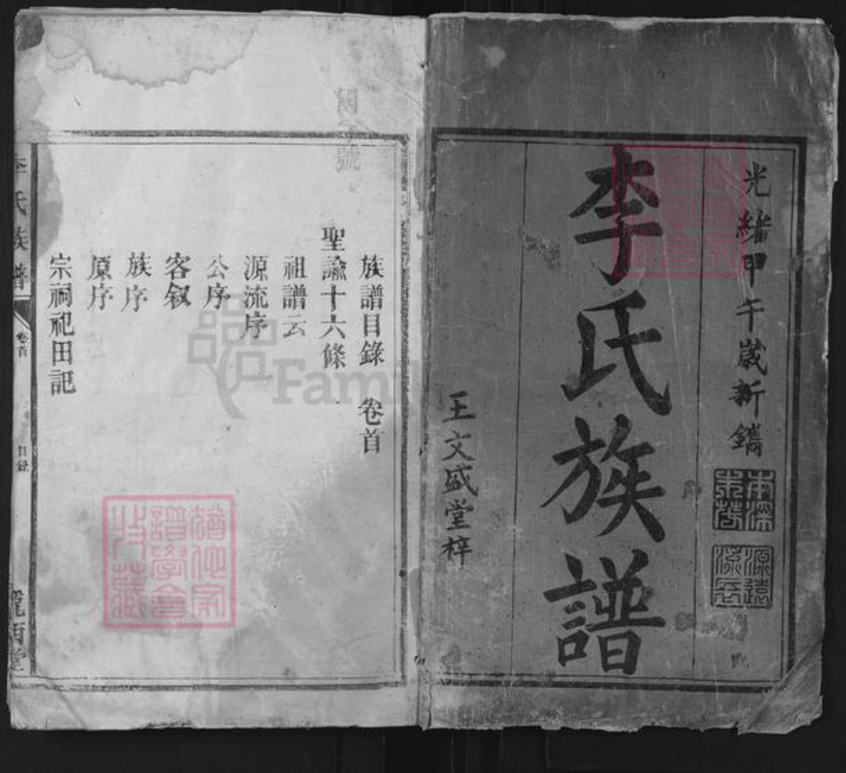 湖南省常德市汉寿县李氏陇西堂族谱-李氏族谱.pdf电子版插图1