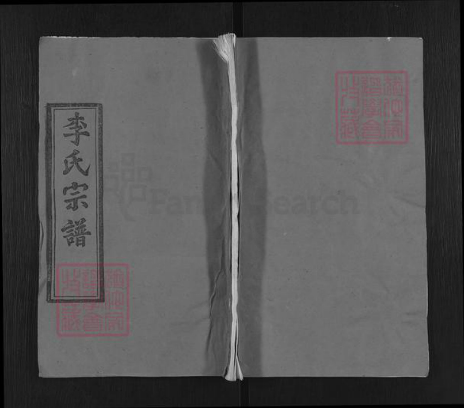 湖北省黄冈市武穴市李氏青莲堂族谱-李氏宗谱.pdf电子版插图