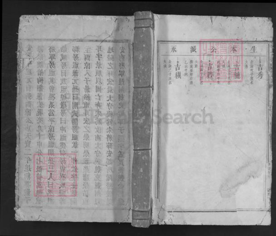 福建省龙岩市上杭县稔田镇李氏族谱-李氏火德公重修族谱.pdf电子版插图