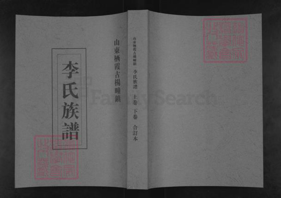山东省烟台市栖霞市杨础镇李氏族谱-李氏族谱.pdf电子版插图