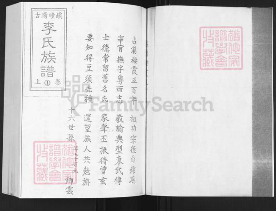 山东省烟台市栖霞市杨础镇李氏族谱-李氏族谱.pdf电子版插图1