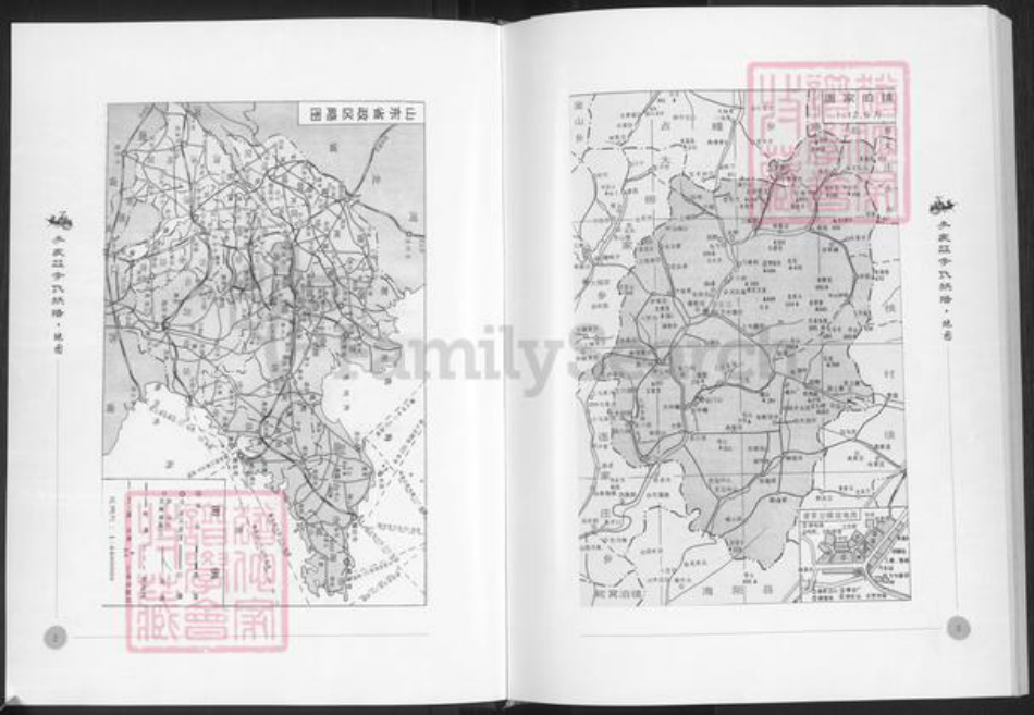 山东省烟台市栖霞市李氏族谱-栖霞李家庄李氏族谱.pdf电子版插图2