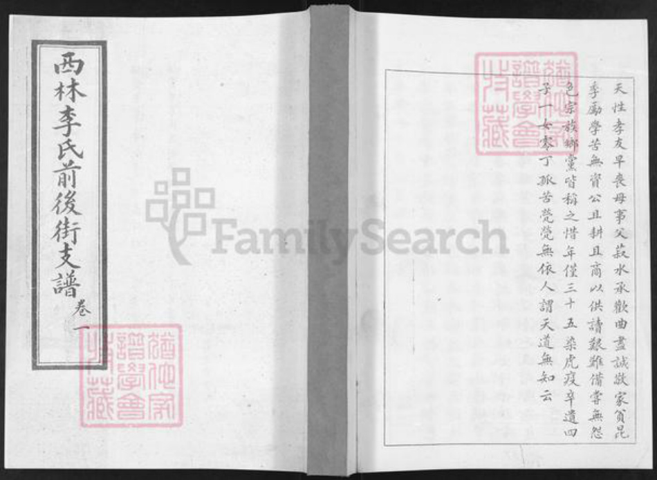 山东省烟台市栖霞市李氏族谱-西林李氏前后街支谱.pdf电子版插图