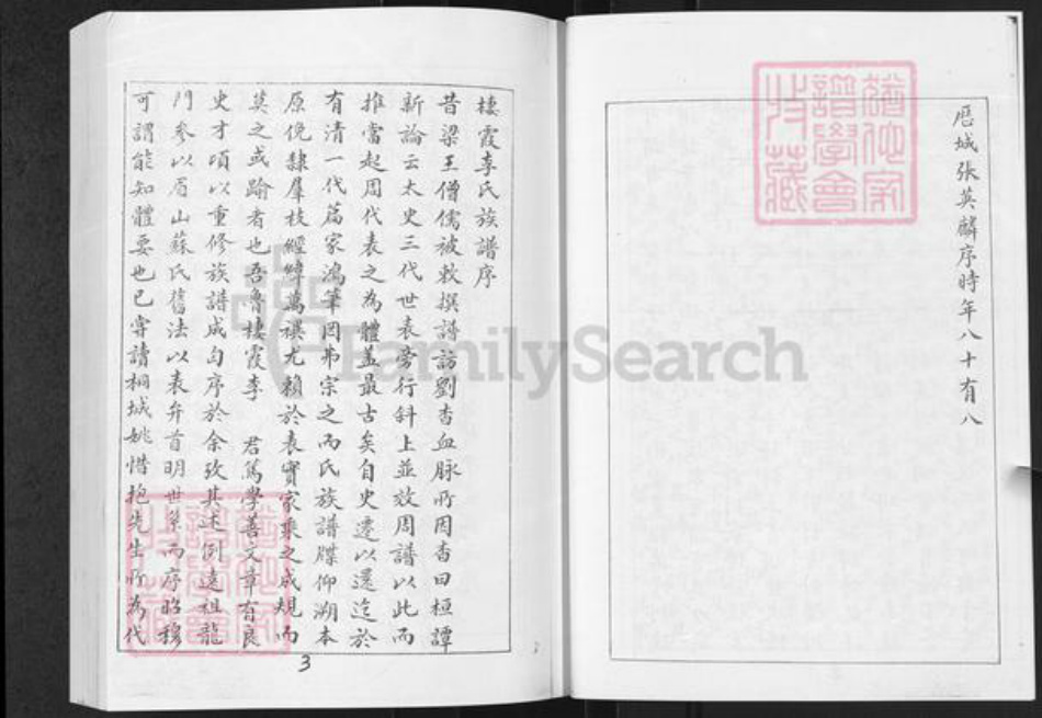 山东省烟台市栖霞市李氏族谱-西林李氏前后街支谱.pdf电子版插图4