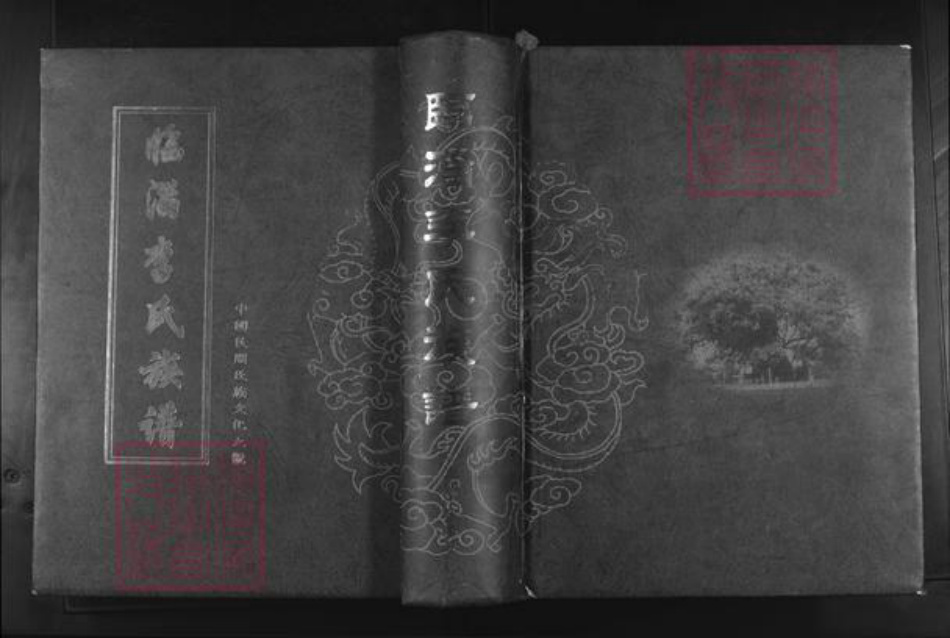 山东省淄博市临淄区李氏陇西堂族谱-临淄李氏族谱.pdf电子版插图