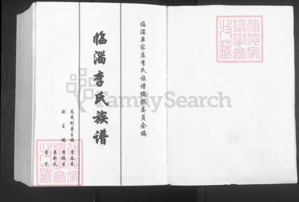 山东省淄博市临淄区李氏陇西堂族谱-临淄李氏族谱.pdf电子版插图2