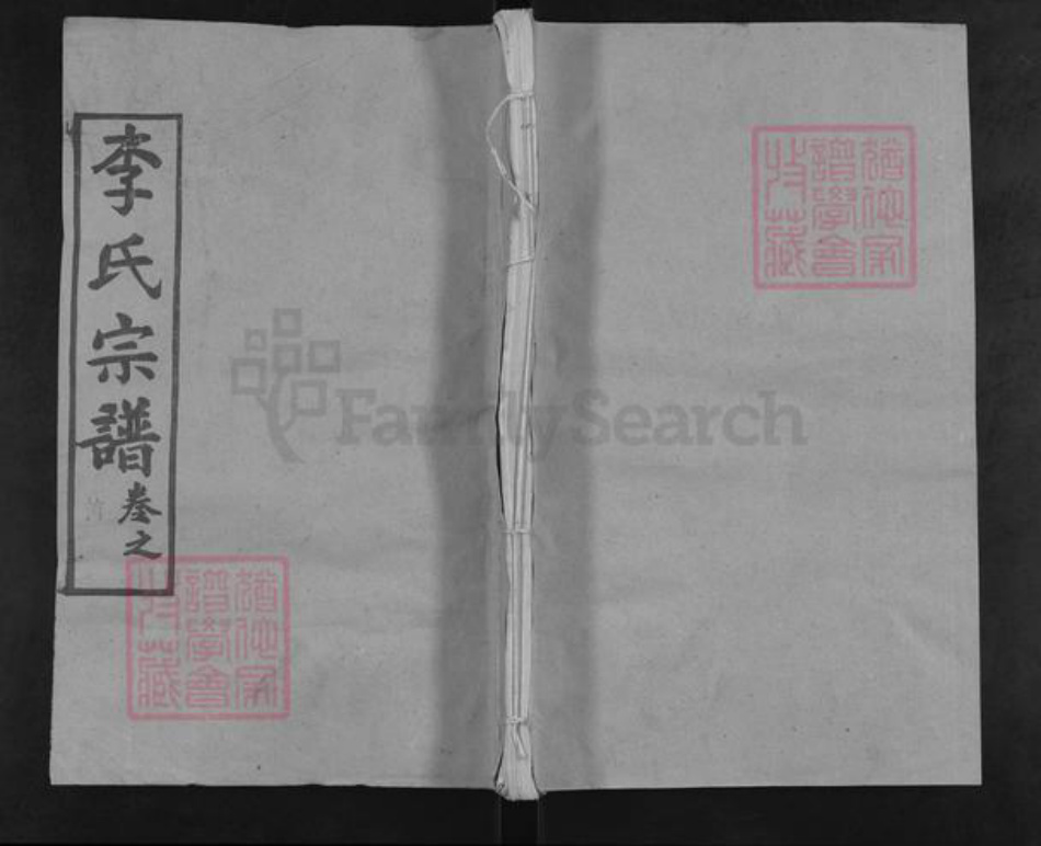 湖北省武汉市新洲区李氏务本堂族谱-李氏宗谱.pdf电子版插图