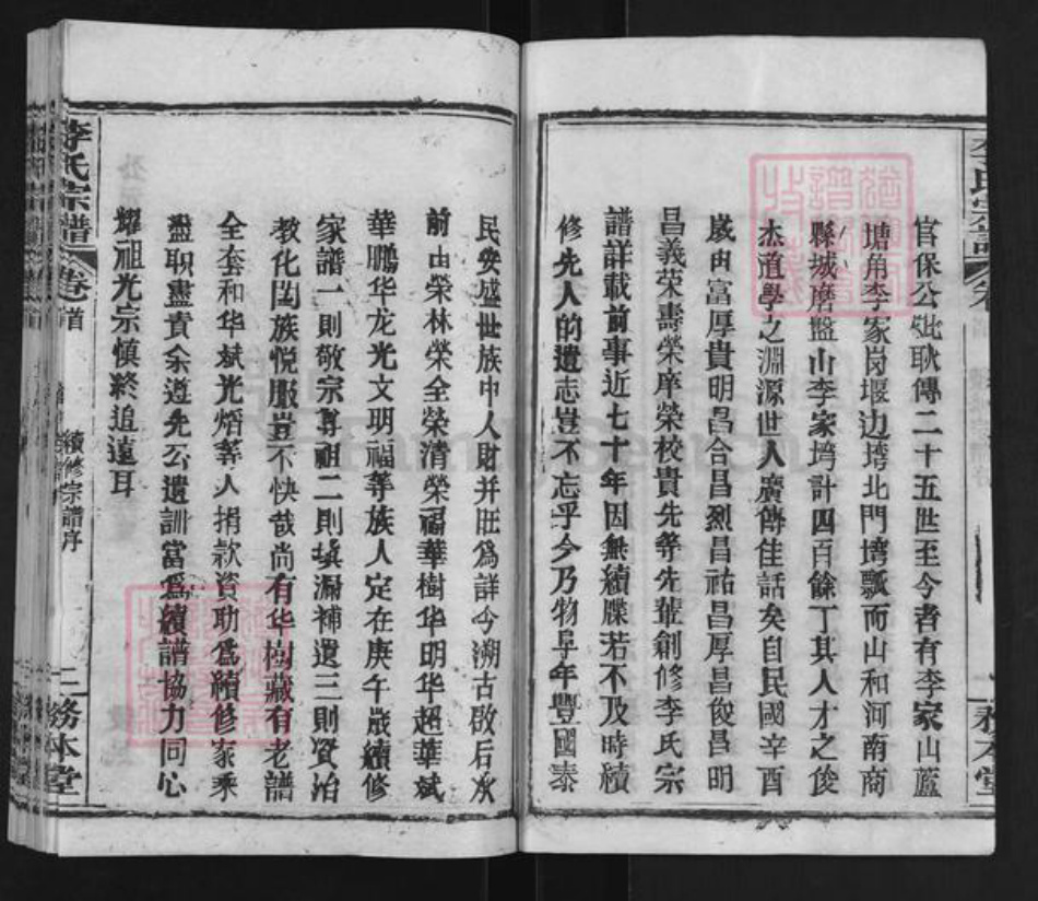 湖北省武汉市新洲区李氏务本堂族谱-李氏宗谱.pdf电子版插图3