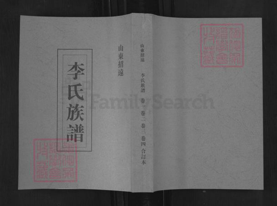 山东省烟台市招远市玲珑镇李氏族谱-山东招远李氏族谱.pdf电子版插图