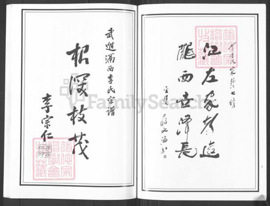 江苏省常州市武进县李氏世德堂族谱-武进董庄李氏宗谱.pdf电子版插图5