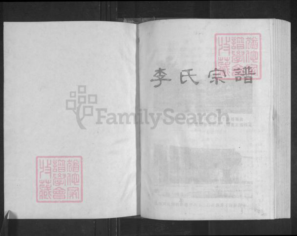 湖南省衡阳市常宁市宜阳街道李氏族谱-曲潭李氏宗谱.pdf电子版插图1