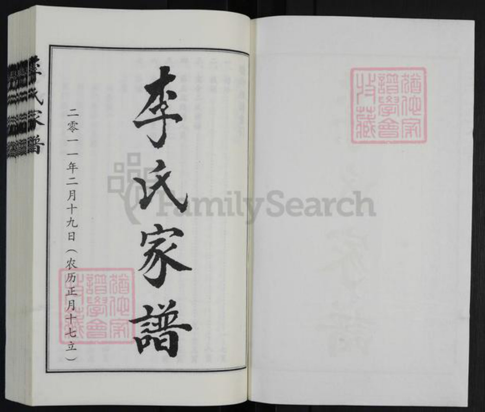 河北省沧州沧县李氏族谱-李氏家谱.pdf电子版插图1
