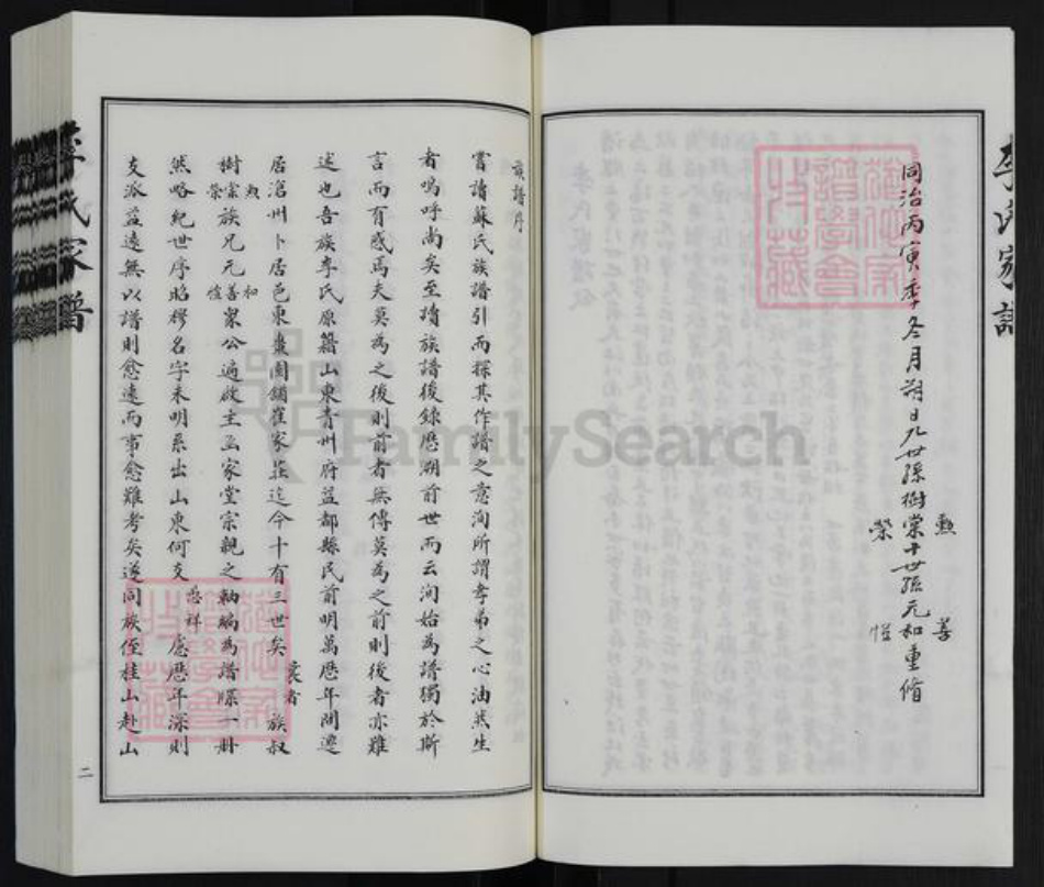 河北省沧州沧县李氏族谱-李氏家谱.pdf电子版插图4