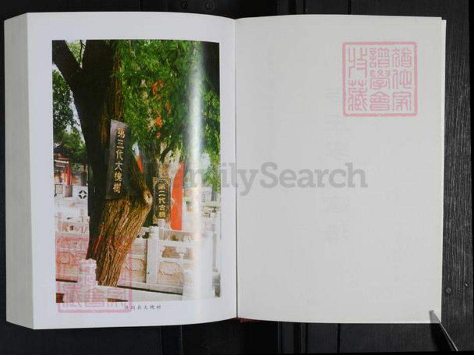 河南省郑州市登封市东华镇李氏族谱-寺庄李氏家谱.pdf电子版插图2