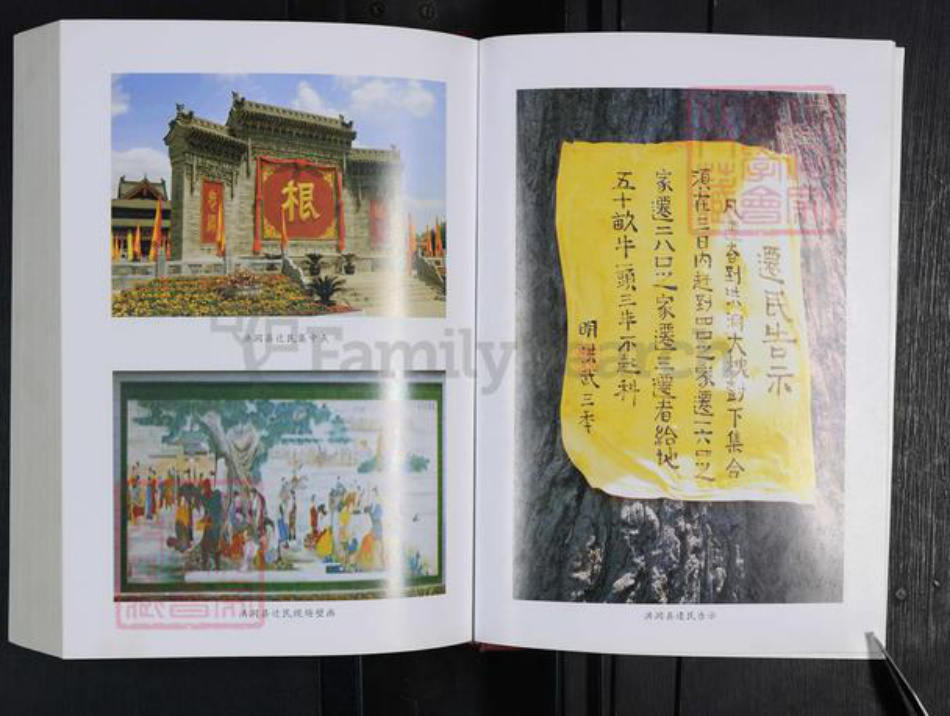 河南省郑州市登封市东华镇李氏族谱-寺庄李氏家谱.pdf电子版插图3