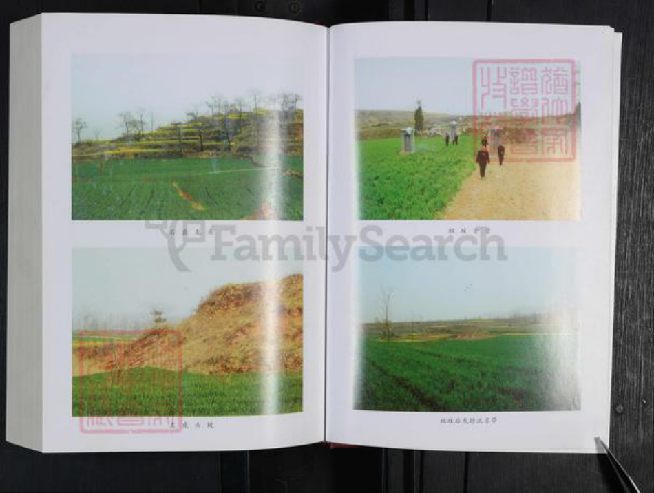 河南省郑州市登封市东华镇李氏族谱-寺庄李氏家谱.pdf电子版插图5