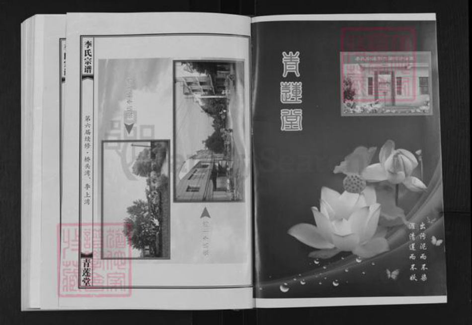 湖北省武汉市新洲区李氏青莲堂族谱-李氏宗谱.pdf电子版插图2
