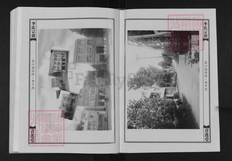 湖北省武汉市新洲区李氏青莲堂族谱-李氏宗谱.pdf电子版插图3