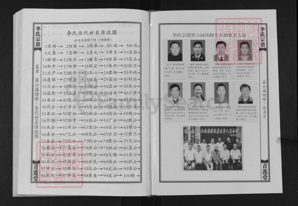 湖北省武汉市新洲区李氏青莲堂族谱-李氏宗谱.pdf电子版插图4