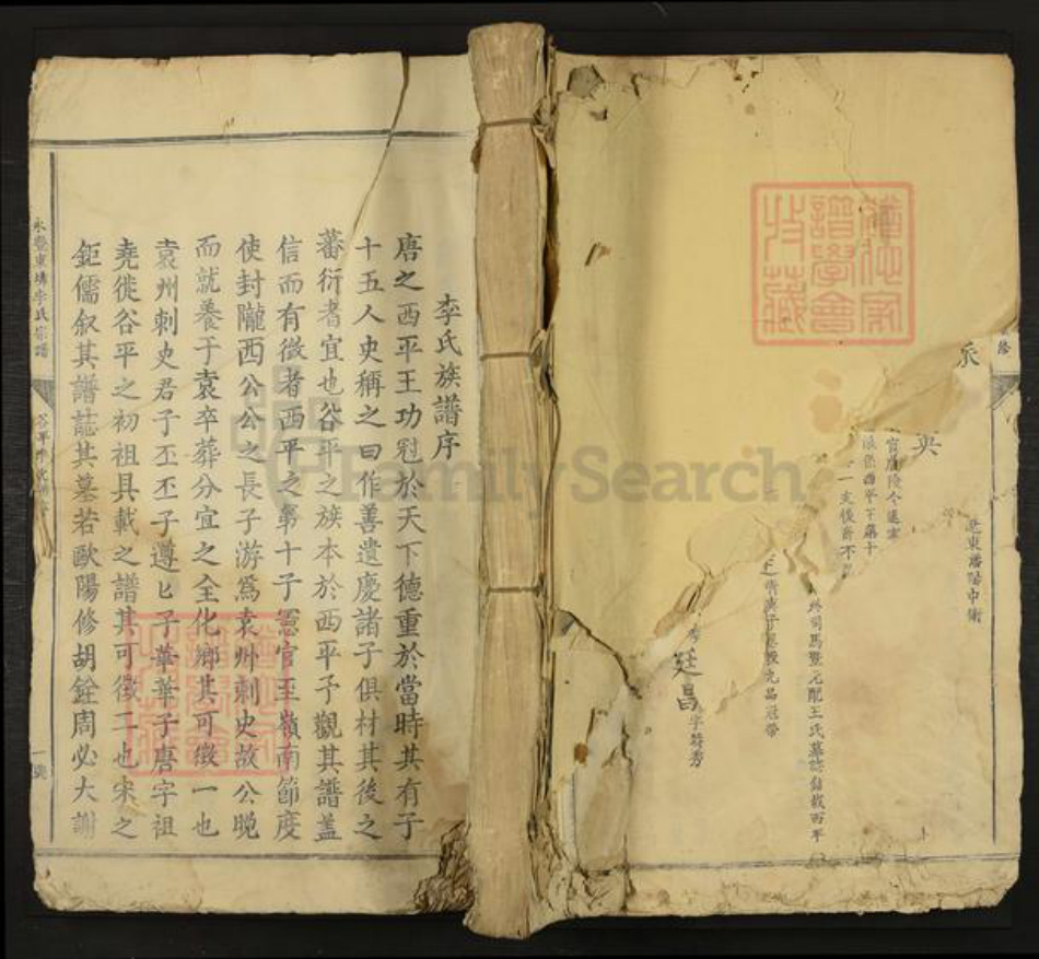 江西省吉安市永丰县李氏族谱-永丰东(土非)李氏宗谱.pdf电子版插图