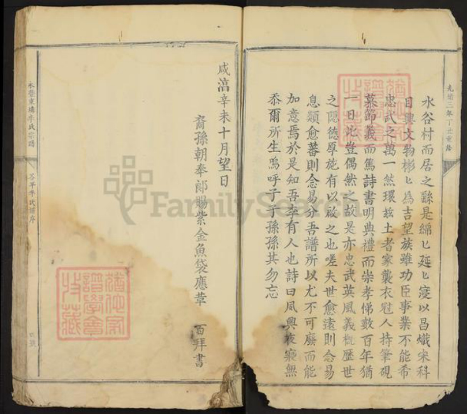 江西省吉安市永丰县李氏族谱-永丰东(土非)李氏宗谱.pdf电子版插图3
