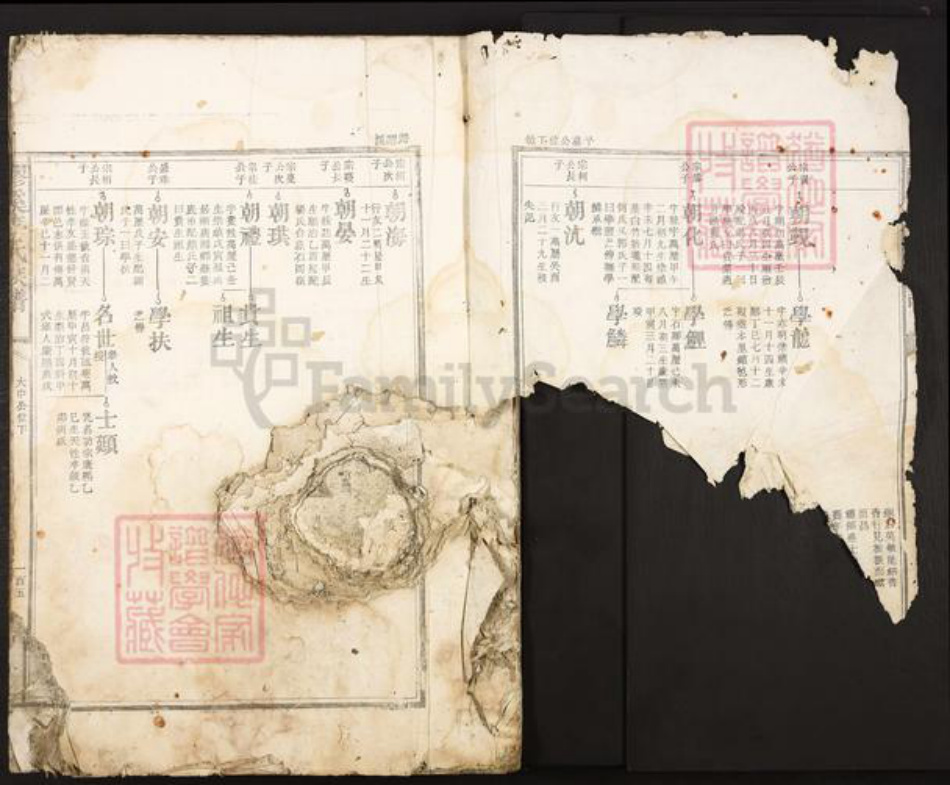 江西省吉安市吉安市李氏族谱-醪溪李氏族谱.pdf电子版插图1