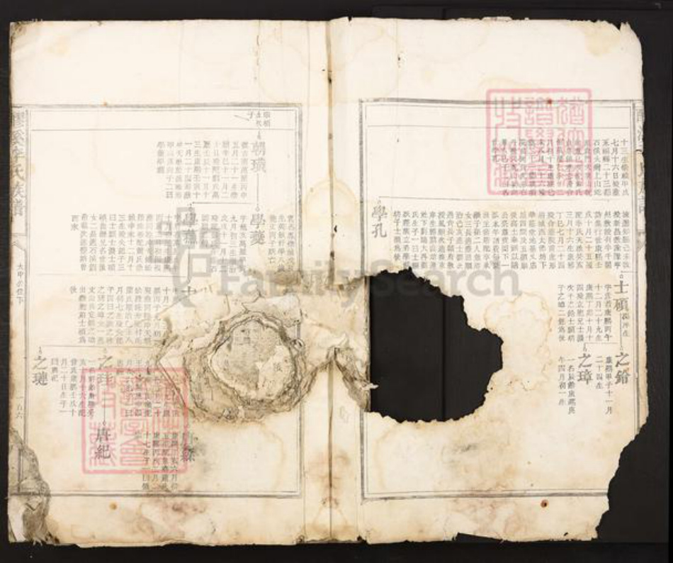 江西省吉安市吉安市李氏族谱-醪溪李氏族谱.pdf电子版插图2
