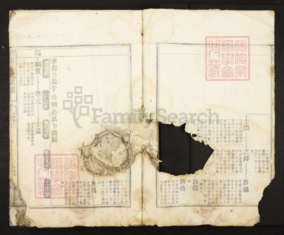 江西省吉安市吉安市李氏族谱-醪溪李氏族谱.pdf电子版插图3