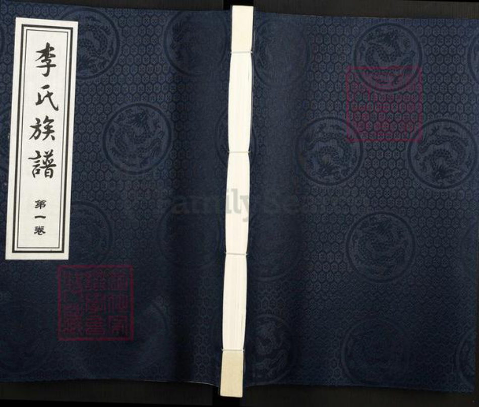 河北省沧州黄骅市吕桥镇李氏陇西堂族谱-李氏族谱.pdf电子版插图