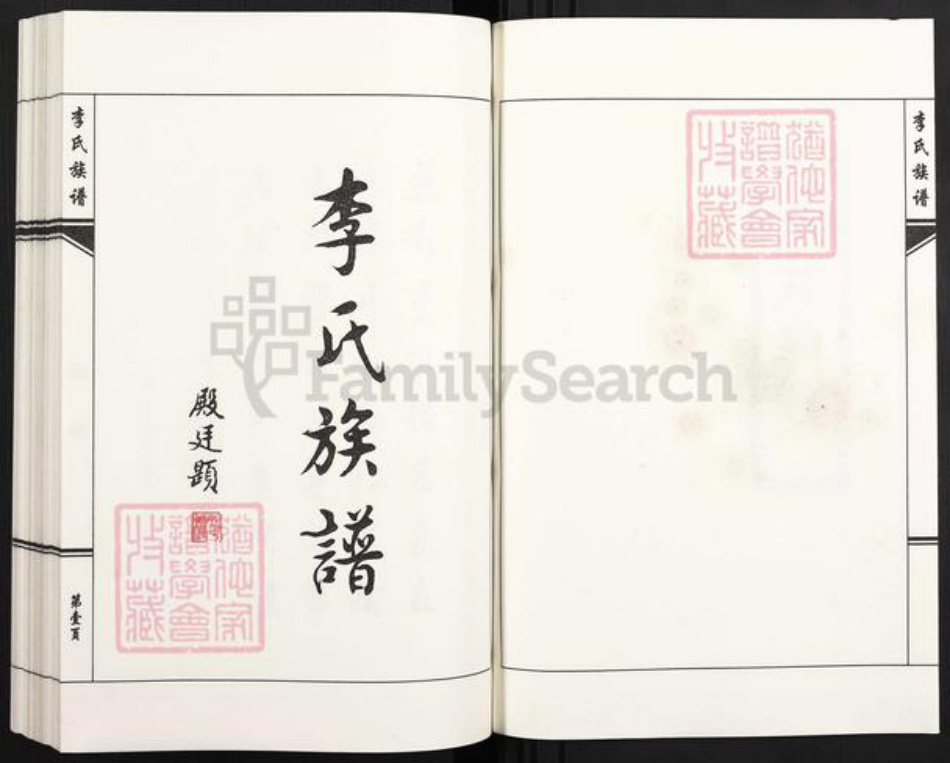 河北省沧州黄骅市吕桥镇李氏陇西堂族谱-李氏族谱.pdf电子版插图2