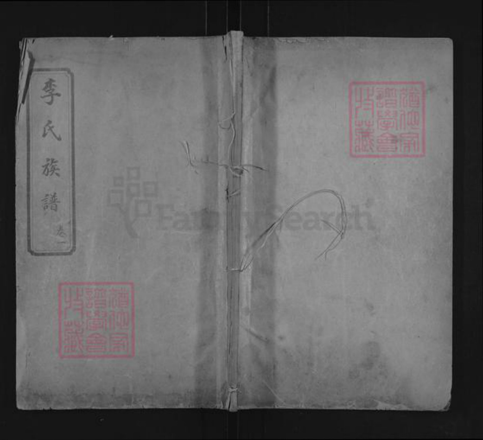 山东省泰安市肥城市桃园镇李氏世德堂族谱-李氏族谱.pdf电子版插图