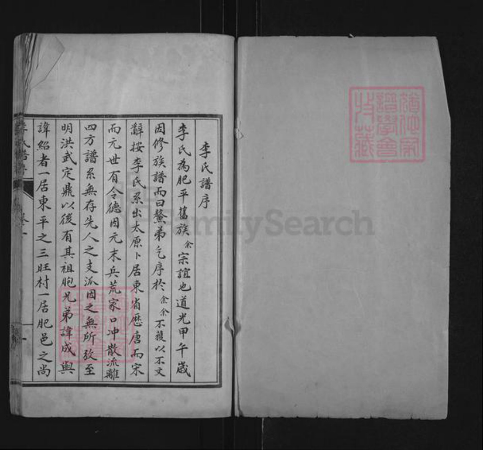 山东省泰安市肥城市桃园镇李氏世德堂族谱-李氏族谱.pdf电子版插图1