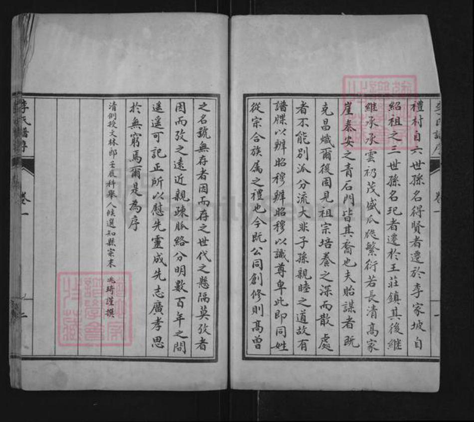 山东省泰安市肥城市桃园镇李氏世德堂族谱-李氏族谱.pdf电子版插图2