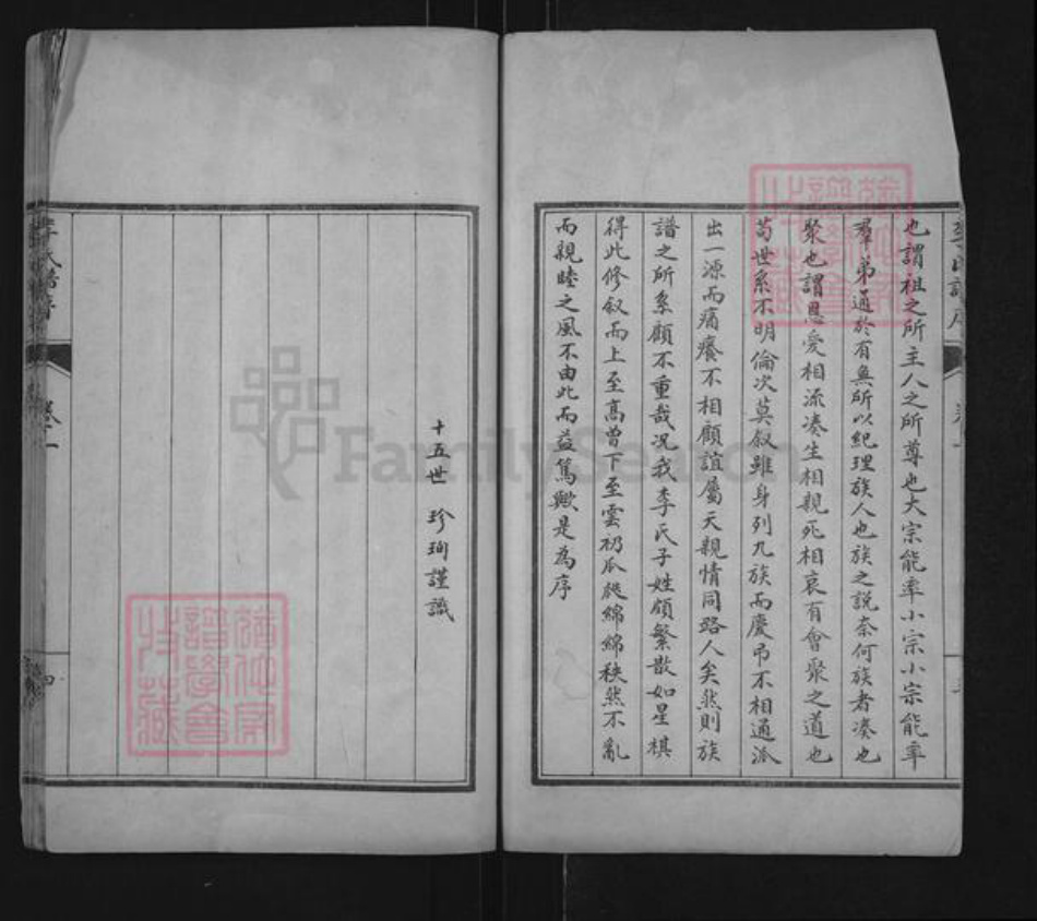 山东省泰安市肥城市桃园镇李氏世德堂族谱-李氏族谱.pdf电子版插图4