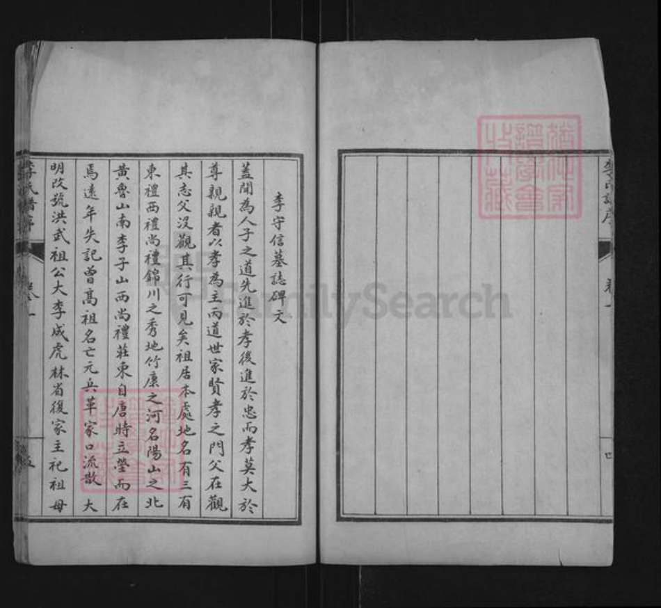 山东省泰安市肥城市桃园镇李氏世德堂族谱-李氏族谱.pdf电子版插图5