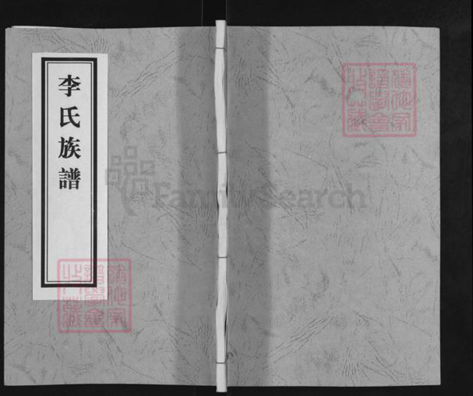 山东省临沂市兰山区李氏族谱-李氏族谱.pdf电子版插图
