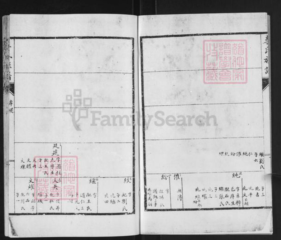 山东省临沂市兰山区李氏族谱-李氏族谱.pdf电子版插图2