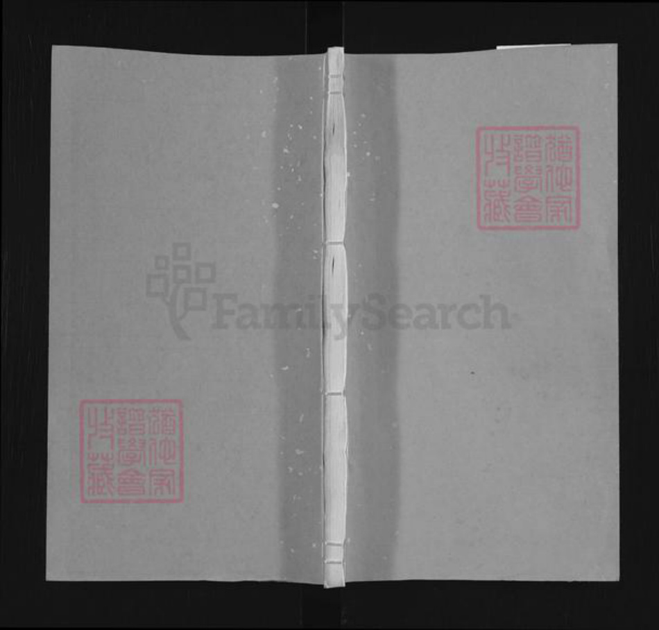 山东省潍坊市高密市醴泉街道李氏族谱-高密李氏家谱.pdf电子版插图