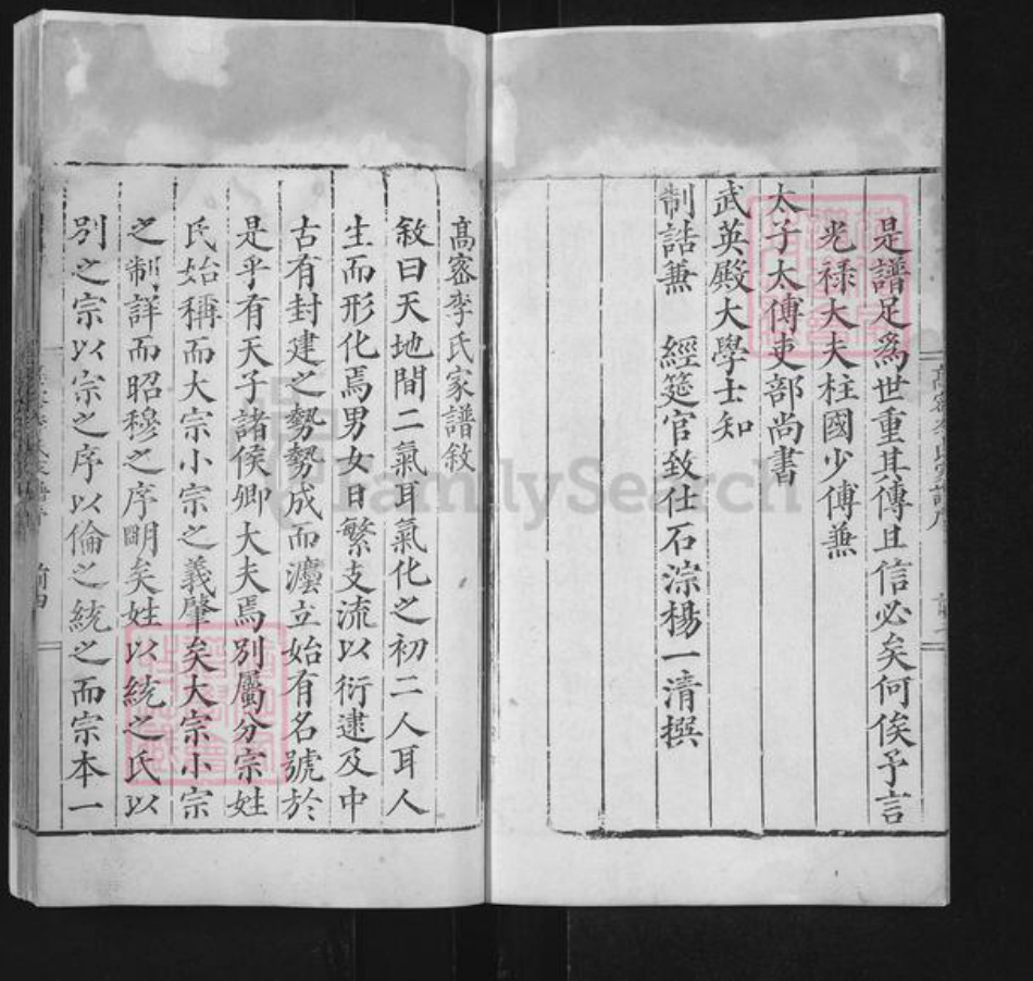 山东省潍坊市高密市醴泉街道李氏族谱-高密李氏家谱.pdf电子版插图4