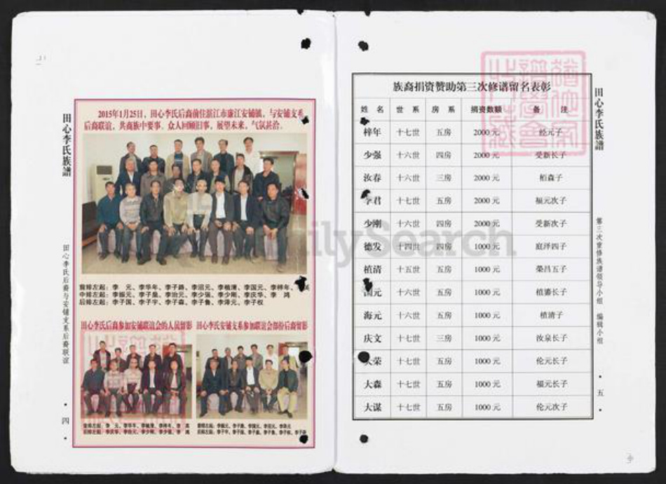 广东省茂名市高州市根子镇李氏族谱-田心李氏族谱.pdf电子版插图3