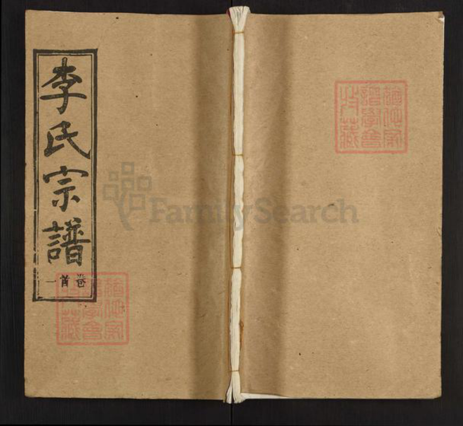 湖北省李氏陇西堂族谱-李氏宗谱.pdf电子版插图