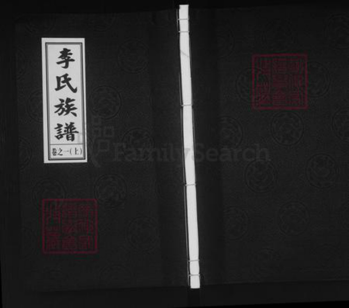 江苏省泰州市泰兴市河失镇李氏陇西堂族谱-李氏族谱.pdf电子版插图