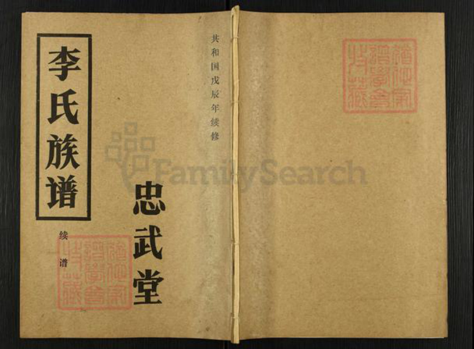 湖北省天门市拖市镇李氏忠武堂族谱-李氏族谱.pdf电子版插图