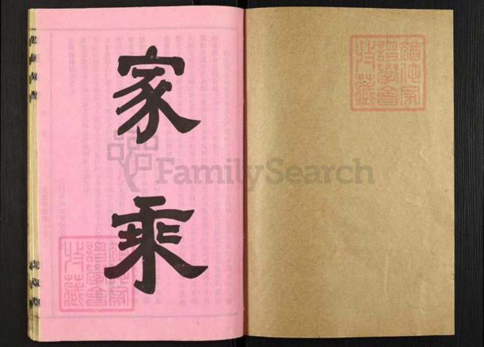湖北省天门市拖市镇李氏忠武堂族谱-李氏族谱.pdf电子版插图1