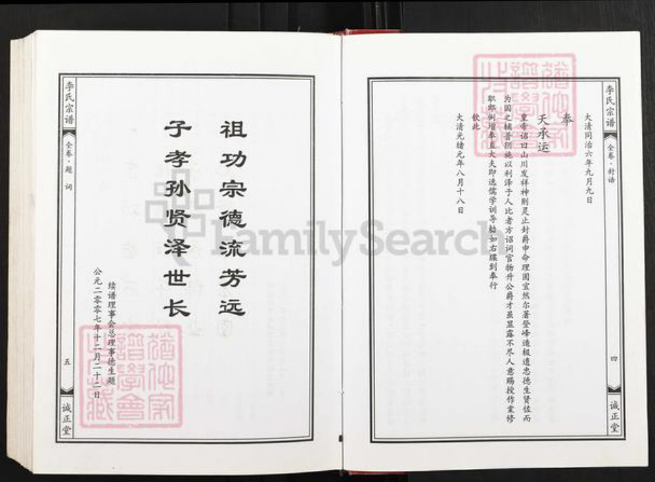 湖北省武汉市黄陂区黄陂李氏诚正堂族谱-李氏宗谱.pdf电子版插图4